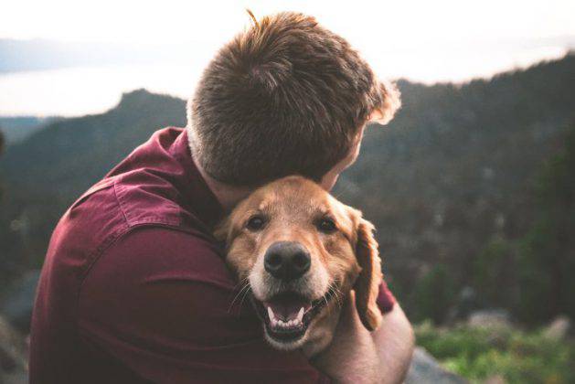 Come Convincere I Genitori A Prendere Un Cane La Guida A Colpo Sicuro