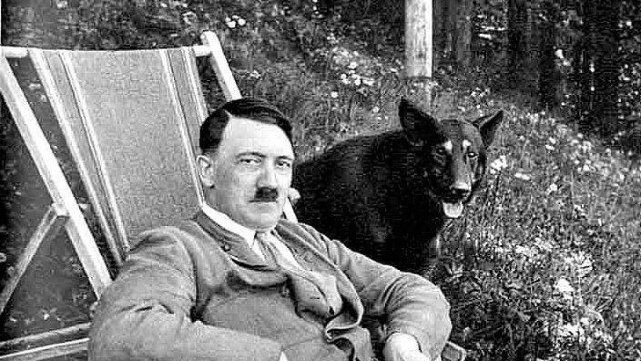 Hitler E L Amore Per I Cani Da Fuchsl A Blondie I Quattozampe Del Fuhrer