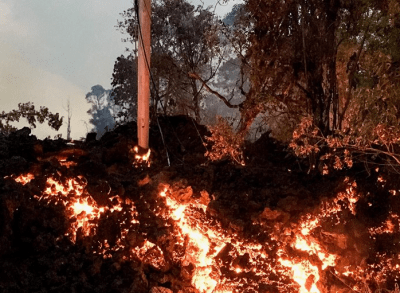 animali eruzione vulcano