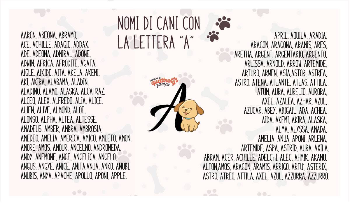 Nomi Di Cani Femmine E Maschi Con La A Scegli Tra 350 Idee