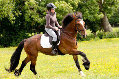 Equitazione abbigliamento: come vestirsi per andare a cavallo