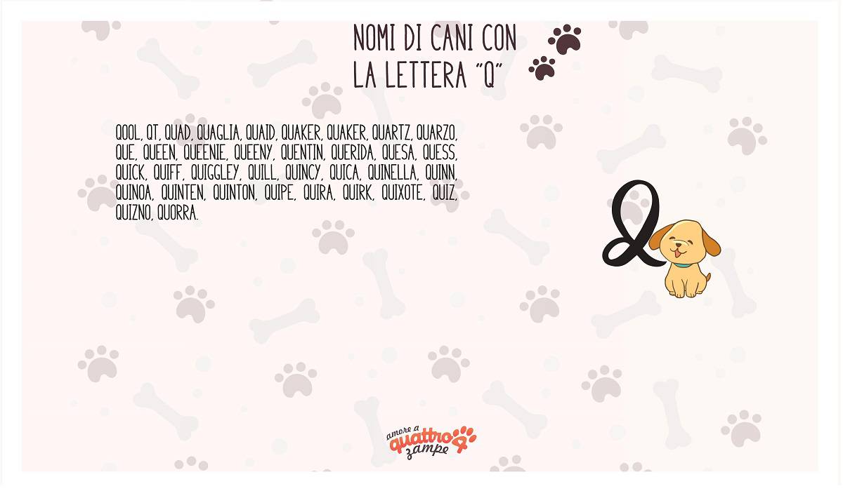 Nomi Di Cani Femmine E Maschi Con La Q Scegli Tra 35 Idee 3351