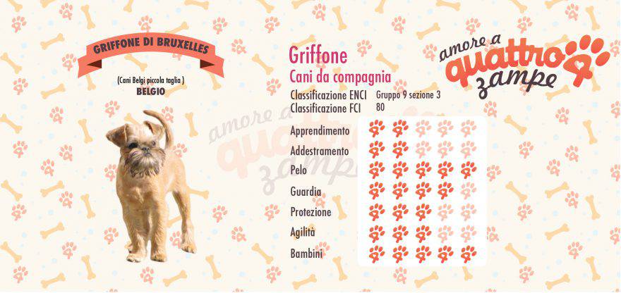 Griffone di Bruxelles scheda razza