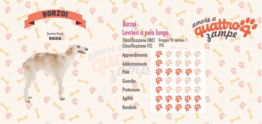 Borzoi scheda razza