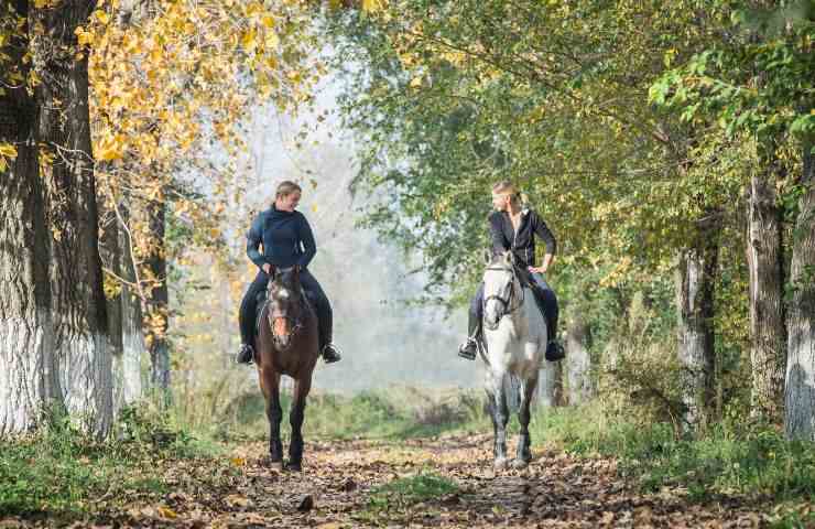 donne a cavallo nella foresta