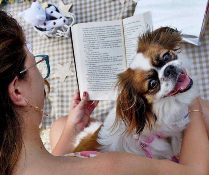 Libri Sui Cani Per Bambini: I Migliori 10 Da Leggere Ai Propri Figli