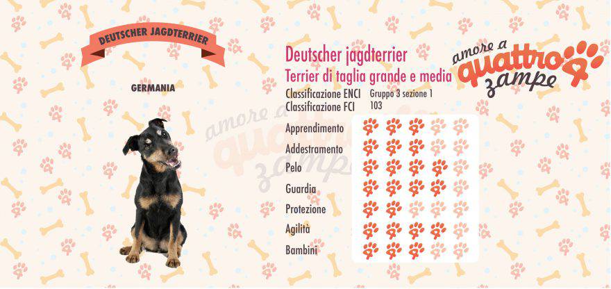 Deutscher jagdterrier scheda razza