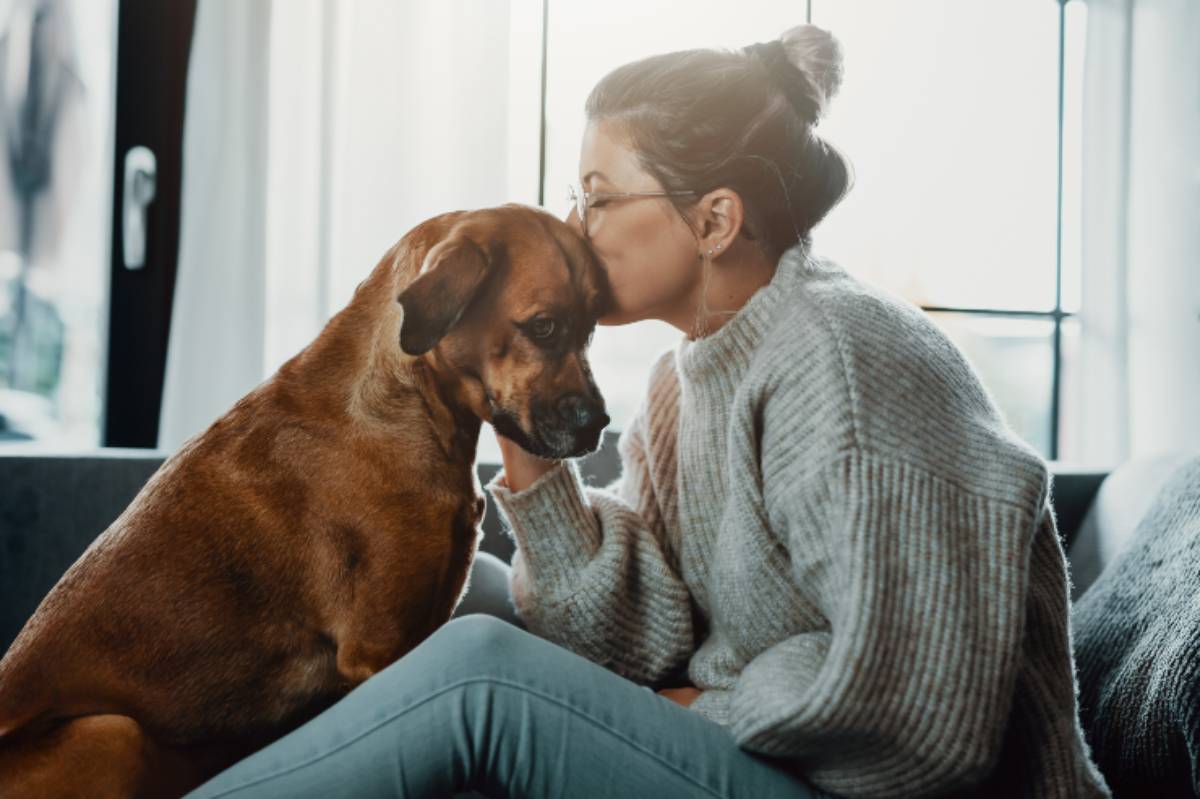 La Polmonite Nel Cane Le Cause I Sintomi E Il Trattamento