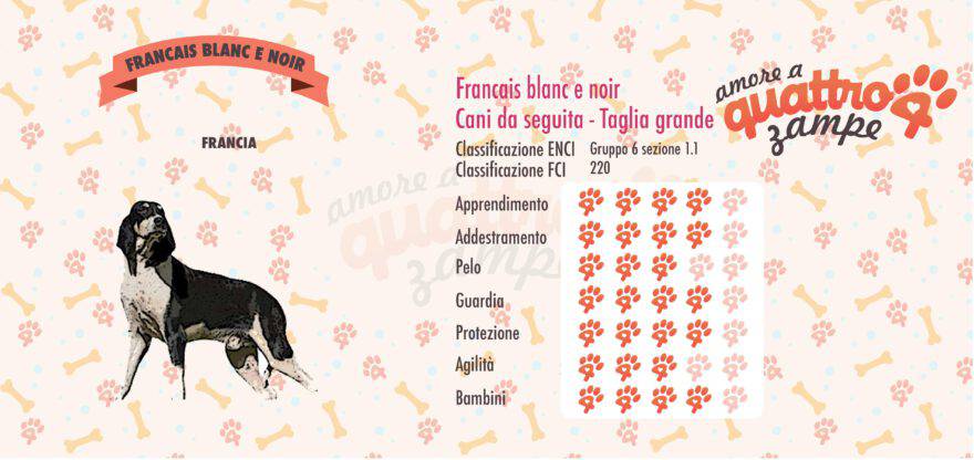 Francais blanc e noir scheda razza