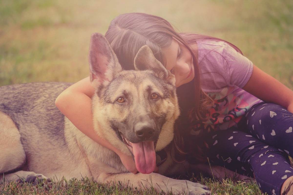 Passaggio di proprietà del cane: iter, documenti e cosa sapere