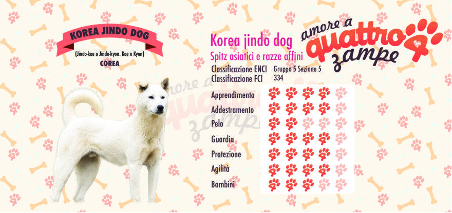 Korea Jindo Dog scheda razza