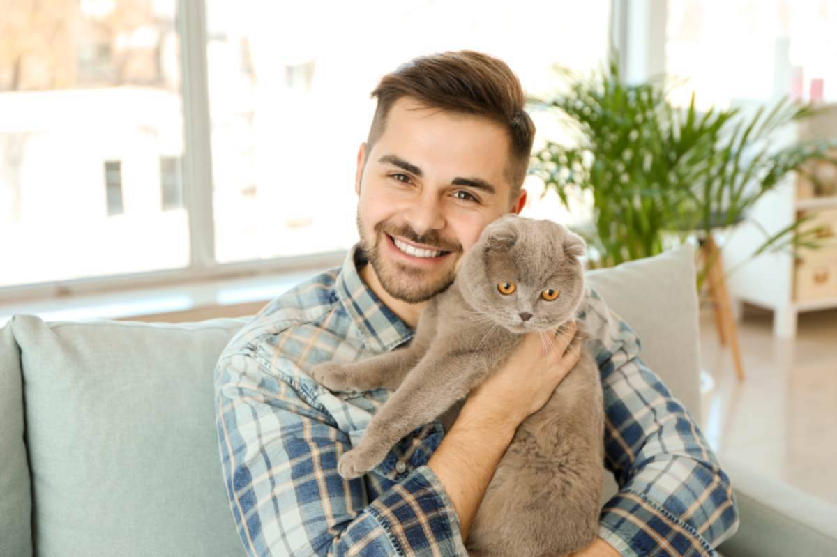 Come rendere sereni i gatti in casa in 5 mosse e ridurre lo stress