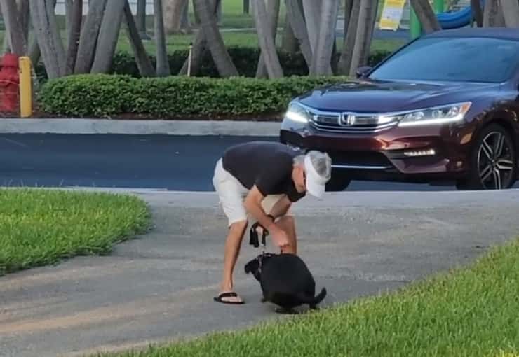 Uomo ripreso mentre picchia il suo cane