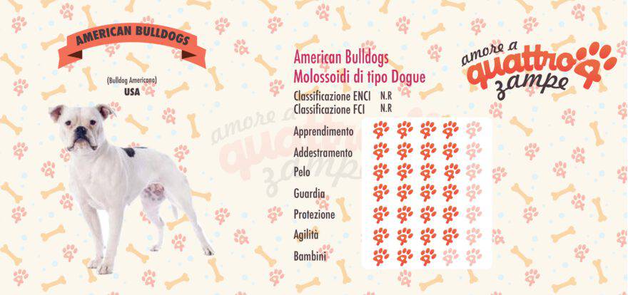 American Bulldogs scheda razza