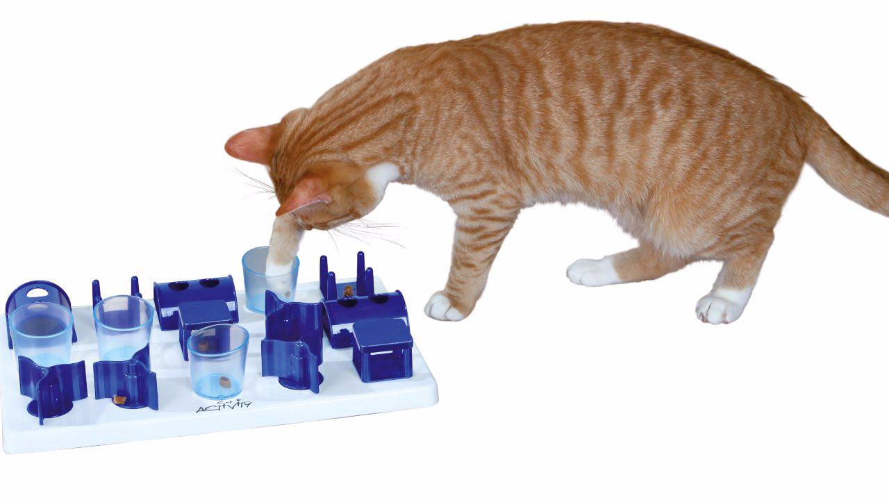 Giochi Problem Solving per gatti - Centro di cultura felina - Tutto sul  comportamento del gatto