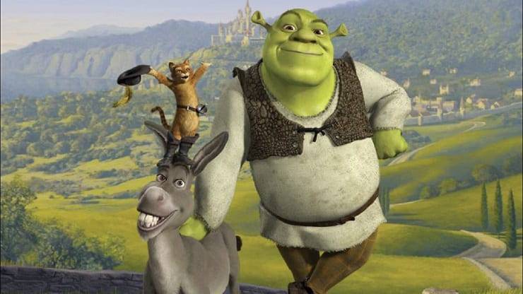 Gatto Shrek: nome, razza, caratteristiche e curiosità