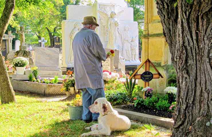 cani gatti cimitero apposito regione Lazio