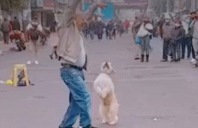 Cane E Sconosciuto Si Muovono In Perfetta Sincronia La Danza Contagiosa