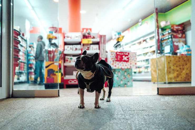 Fare la spesa con il cane