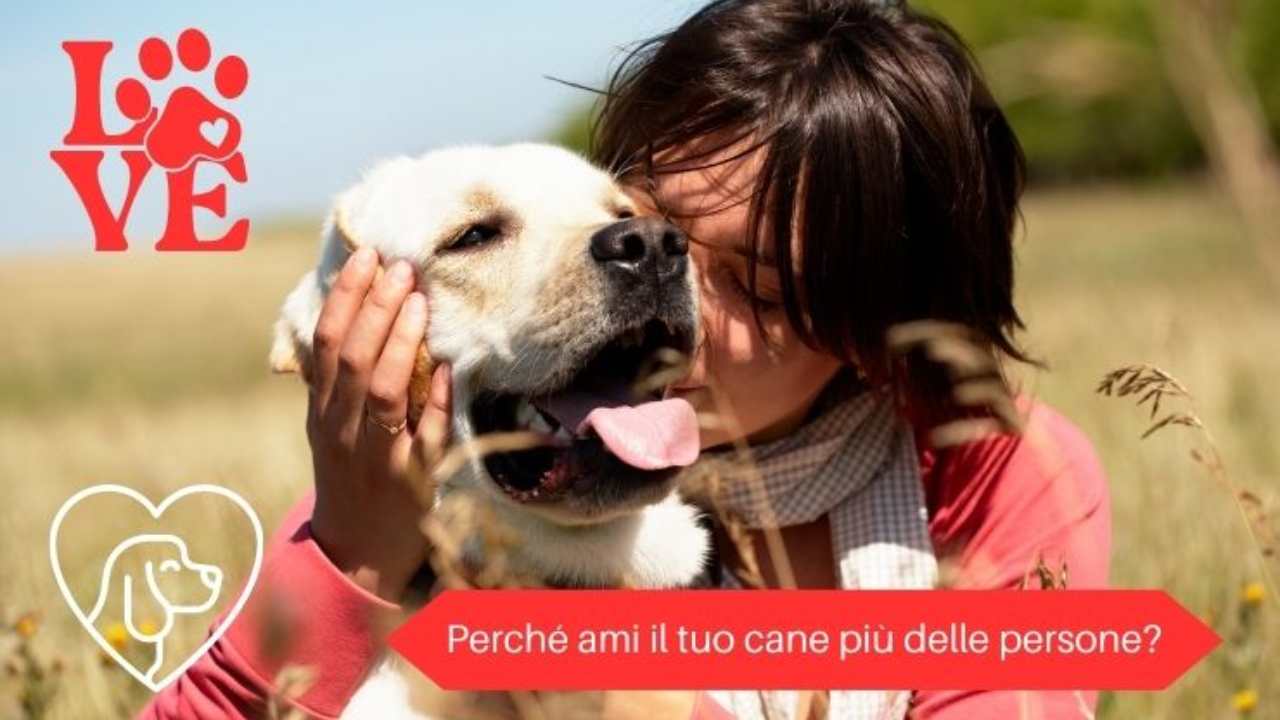 Quando Ami Il Tuo Cane Più Delle Persone: Come è Possibile E Che Significa?