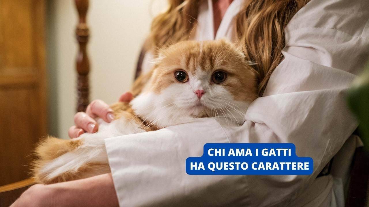 Chi ama i gatti ha questo carattere: lo dice la scienza