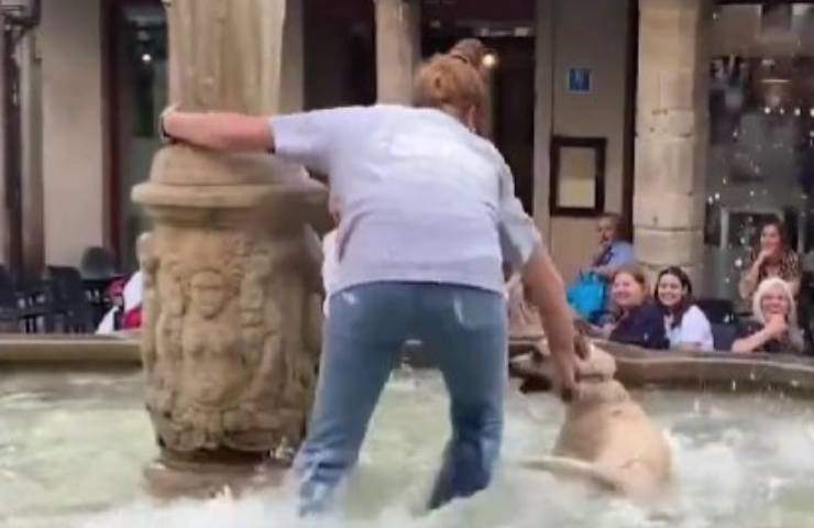 cane si getta nella fontana spagna