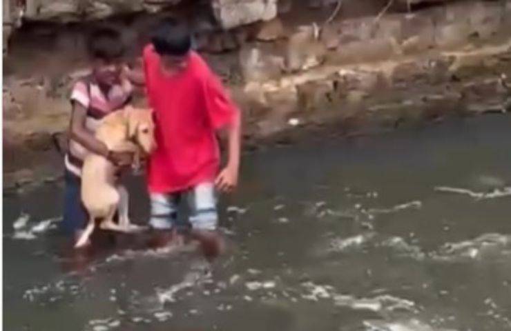 Bambini si gettano nell'acqua per salvare il cagnolino