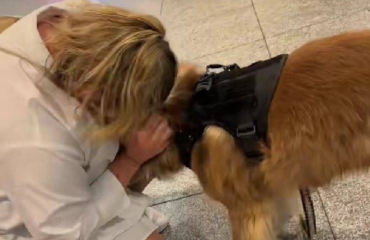 cane donna aeroporto video