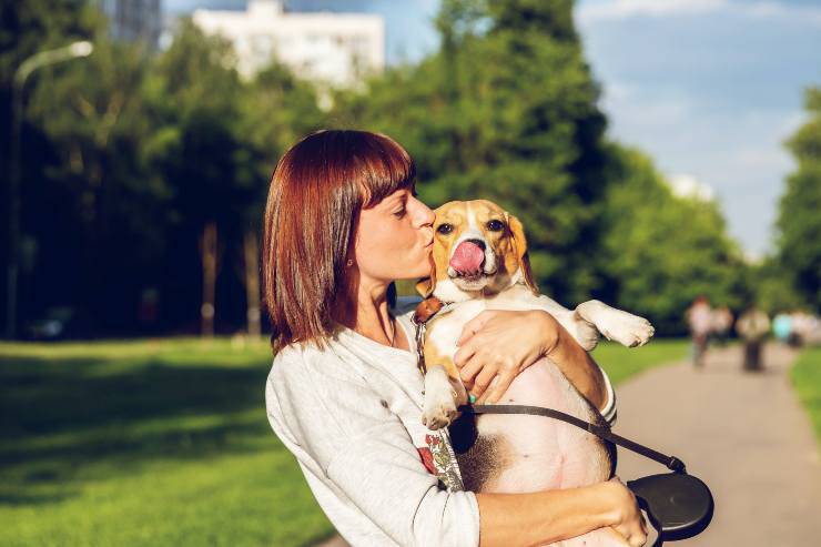 Il sentimento del cane per le persone