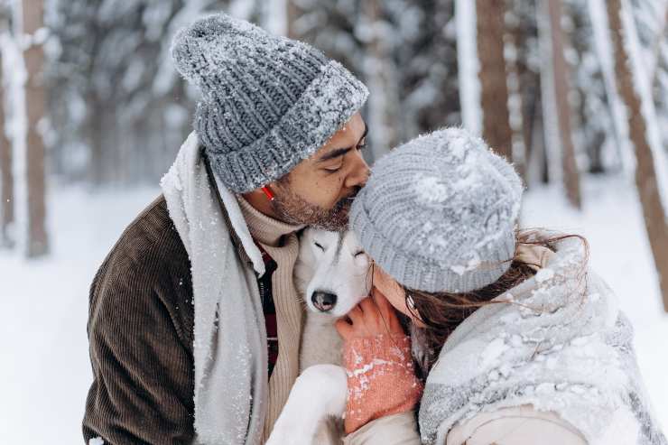 Il comportamento del cane