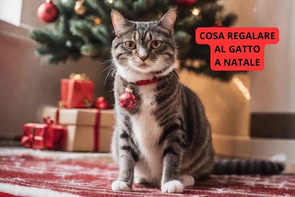 Gatto davanti all'albero di Natale