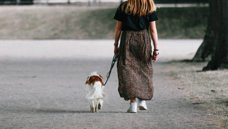 Un cane al guinzaglio passeggia con la sua padroncina 