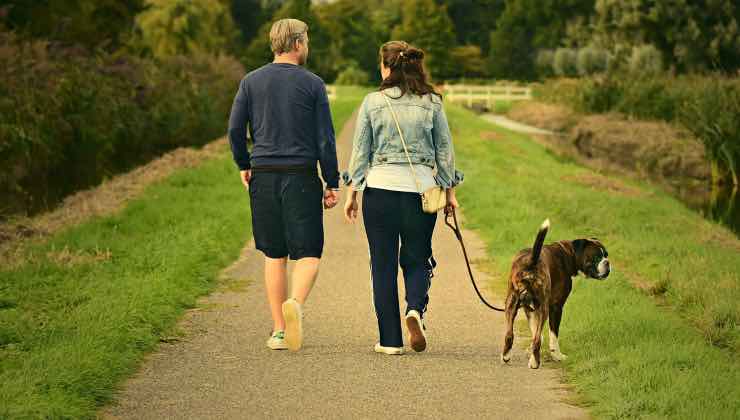 Un cane passeggia al guinzaglio con i suoi genitori umani 