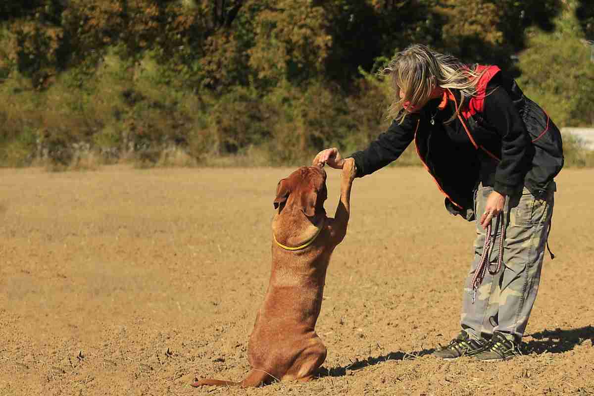 Cane con la sua padrona