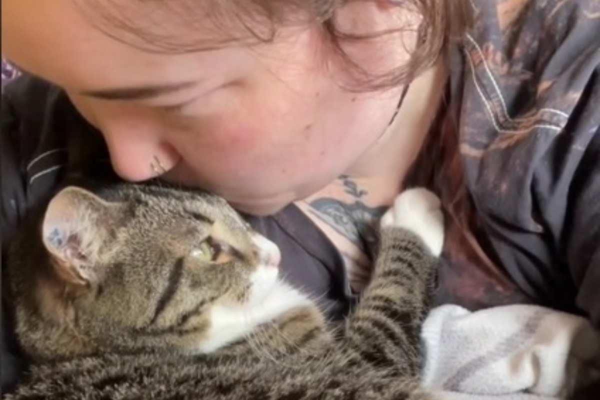 Persona bacia il suo gatto