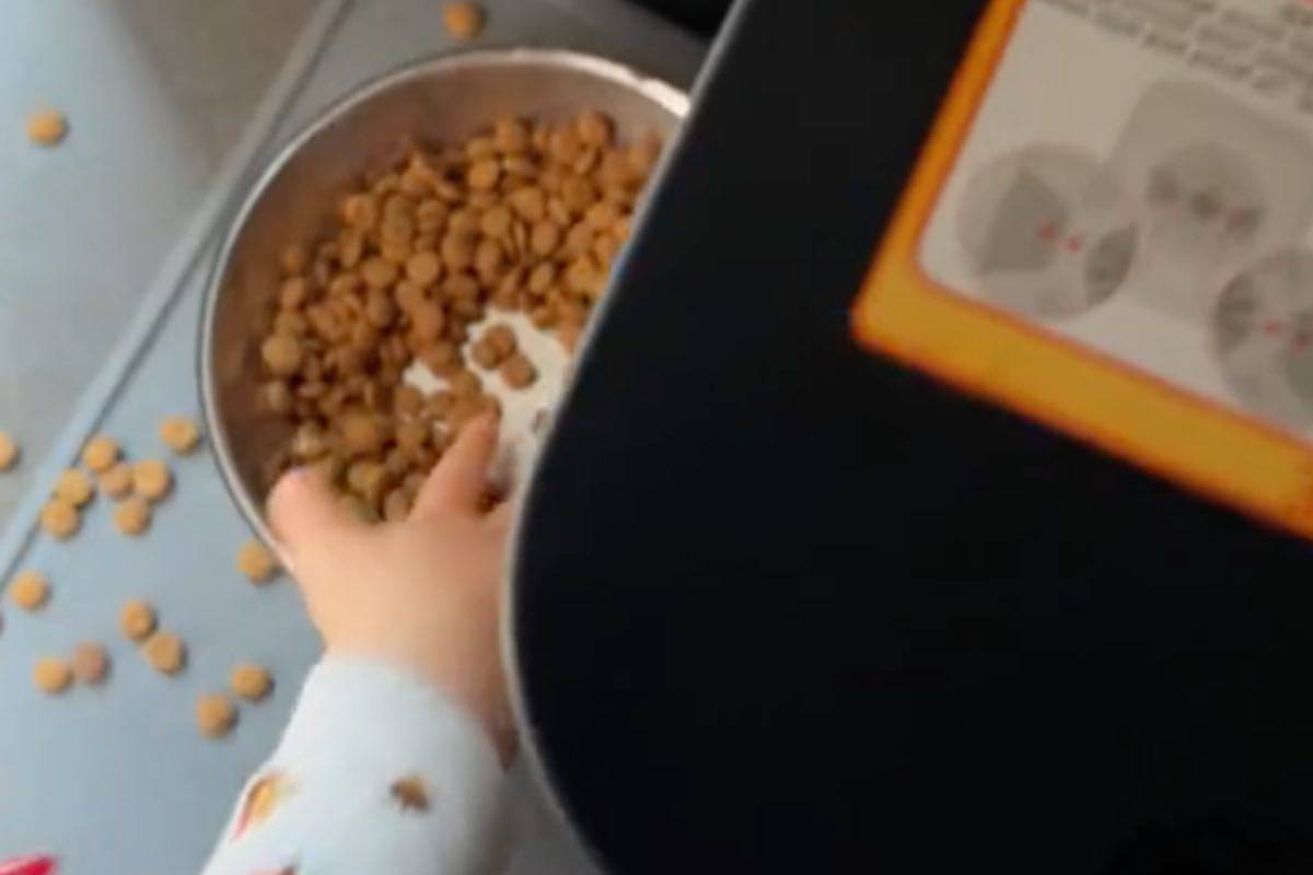 Cosa succede se un bambino mangia le crocchette del gatto? Dopo le critiche la risposta di Aurora Ramazzotti lascia senza parole