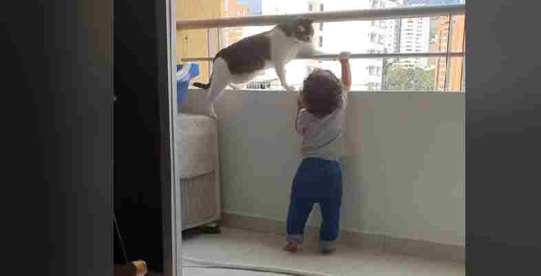 Amore e protezione sono le parole chiave: il gatto protegge il suo fratellino umano in balcone