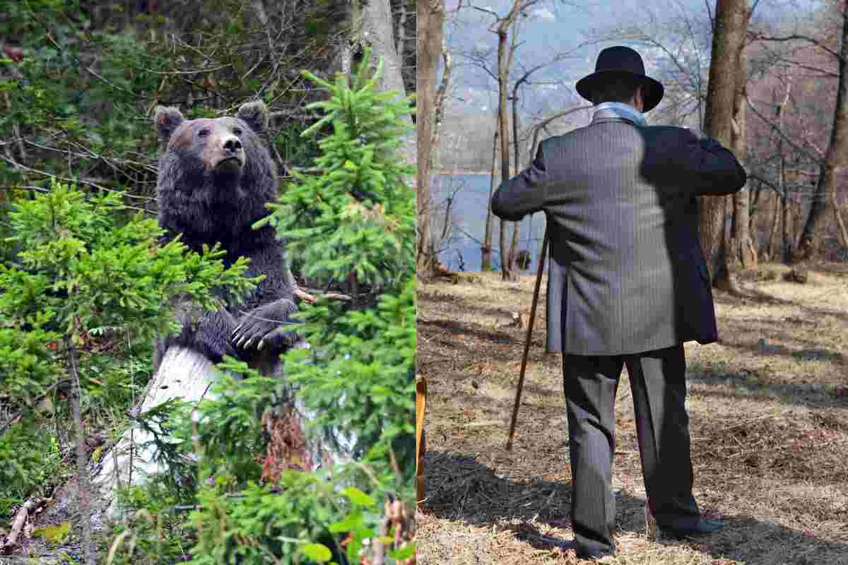 Nel bosco preferireste incontrare un orso o un uomo? La risposta della donne a questo trend ha lasciato tutti allibiti: la spiegazione