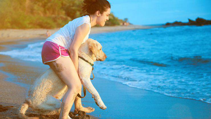 metodo sbagliato per portare il cane in acqua