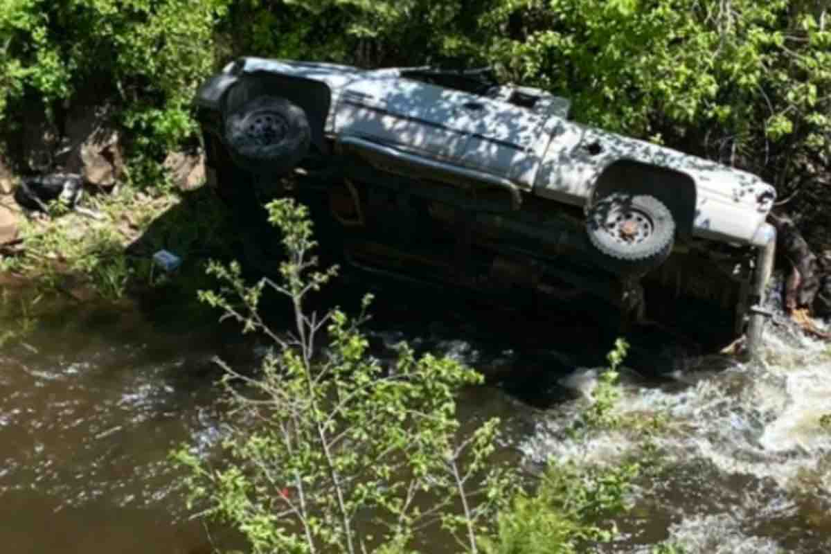 Il suo amico è precipitato in un torrente, cucciolo corre per chilometri pur di trovare un aiuto