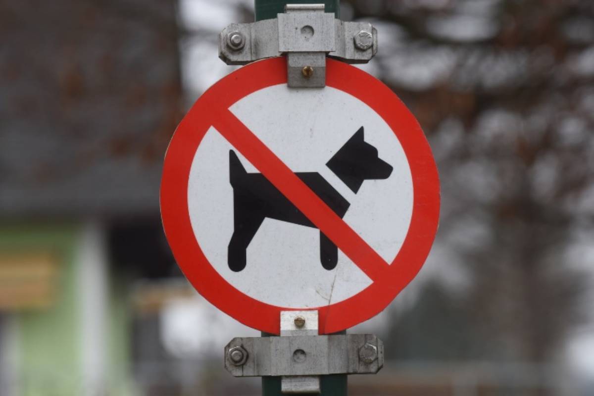 Segnale divieto di ingresso per i cani