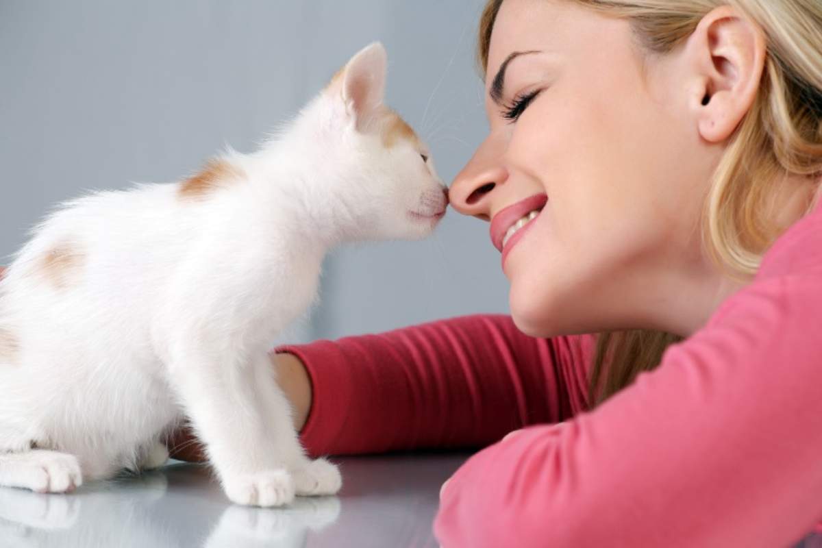Gattino dà bacini alla sua mamma umana