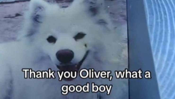 Oliver sorridente 