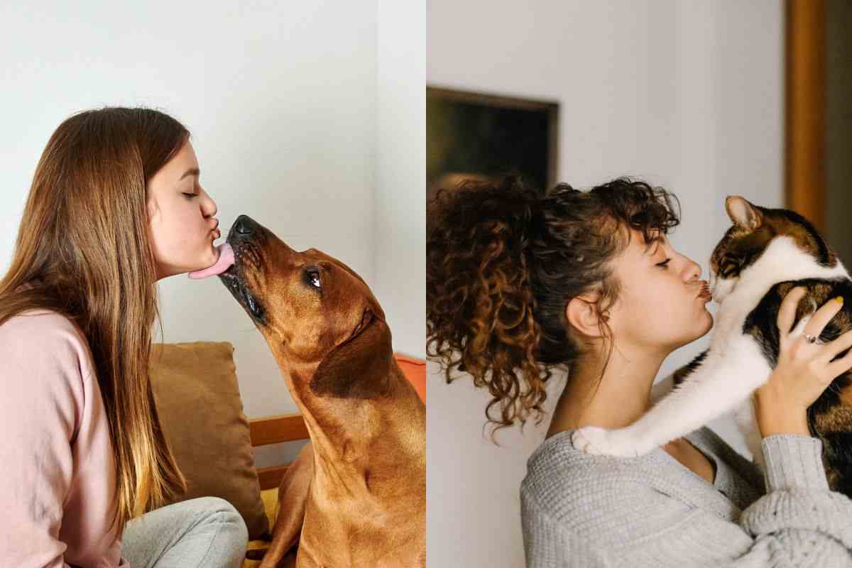 Vivo con un cane e un gatto, ma è vero che i loro baci rinforzano il sistema immunitario dei bambini?