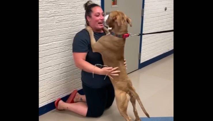cane abbraccia l'umana dopo due anni di sofferenze