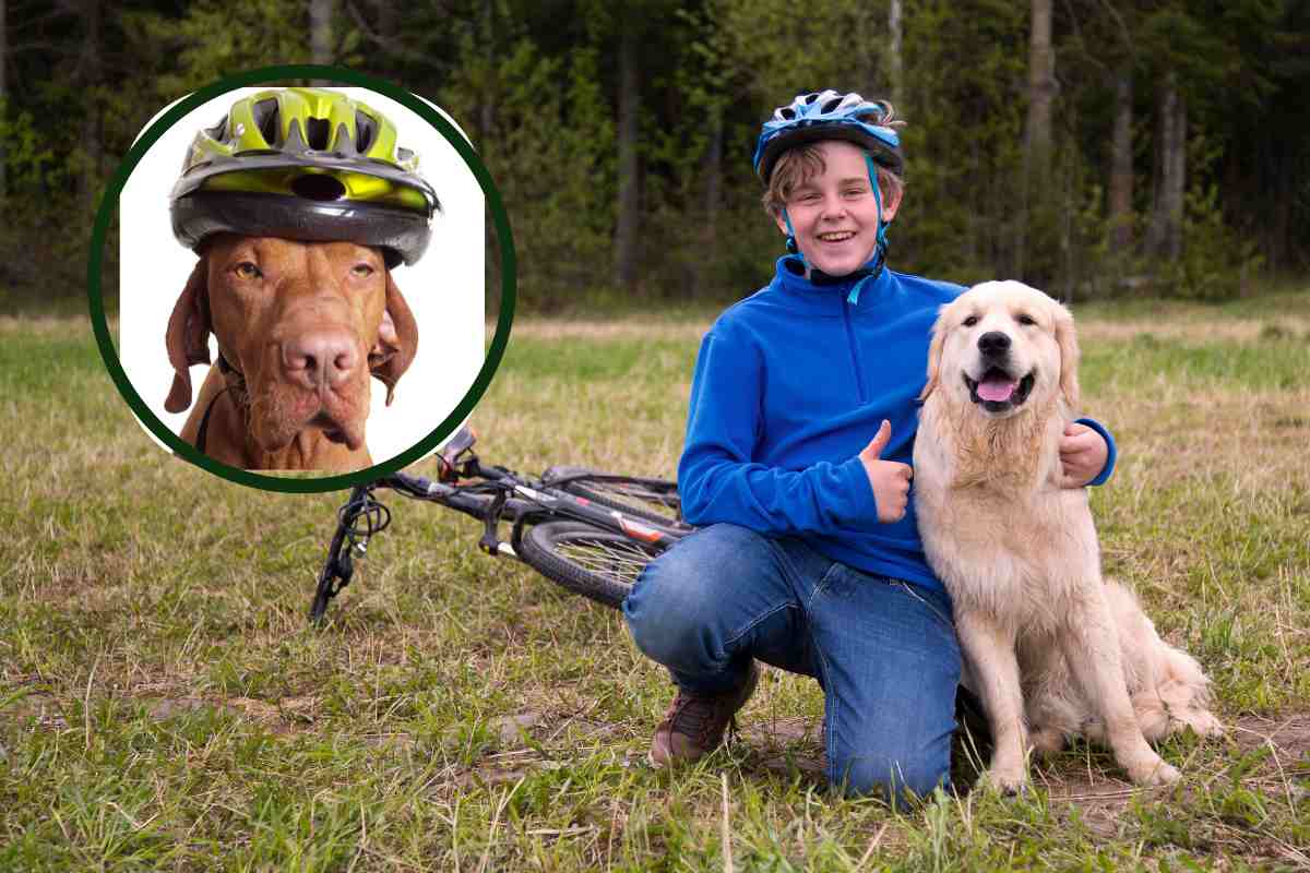 È pericoloso portare il cane al guinzaglio mentre si va in bici? E soprattutto è legale?