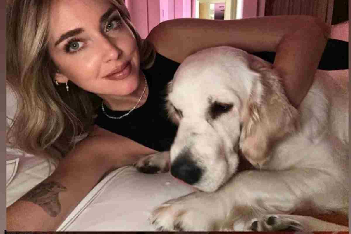 Il dettaglio non è passato inosservato : la foto di Chiara Ferragni lascia tutti senza fiato 