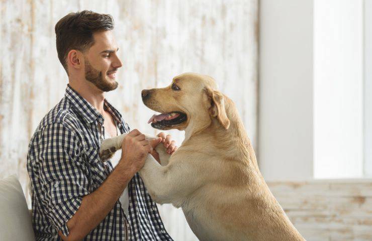 Cane abbraccia il padrone