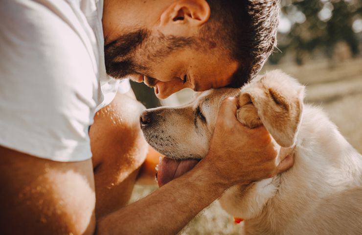 Cane e padrone