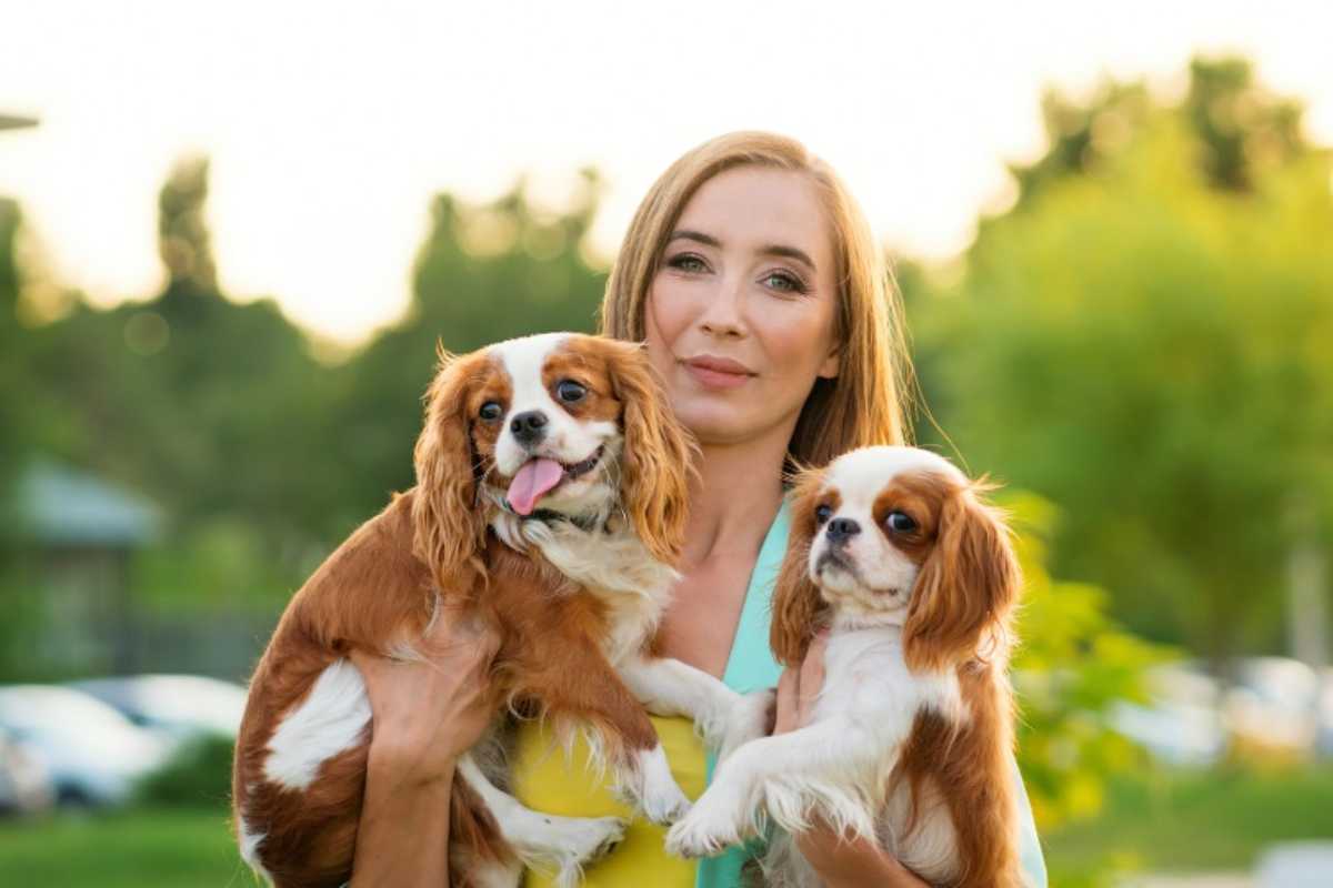 Persona con due cani uguali